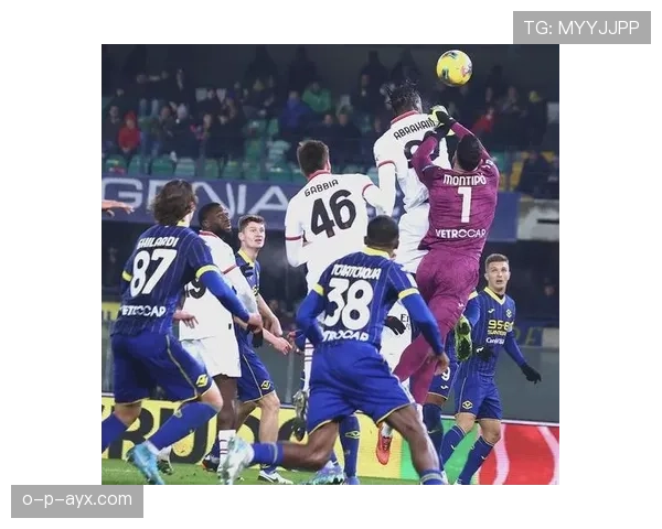 维罗纳战术调整 维罗纳战术调整